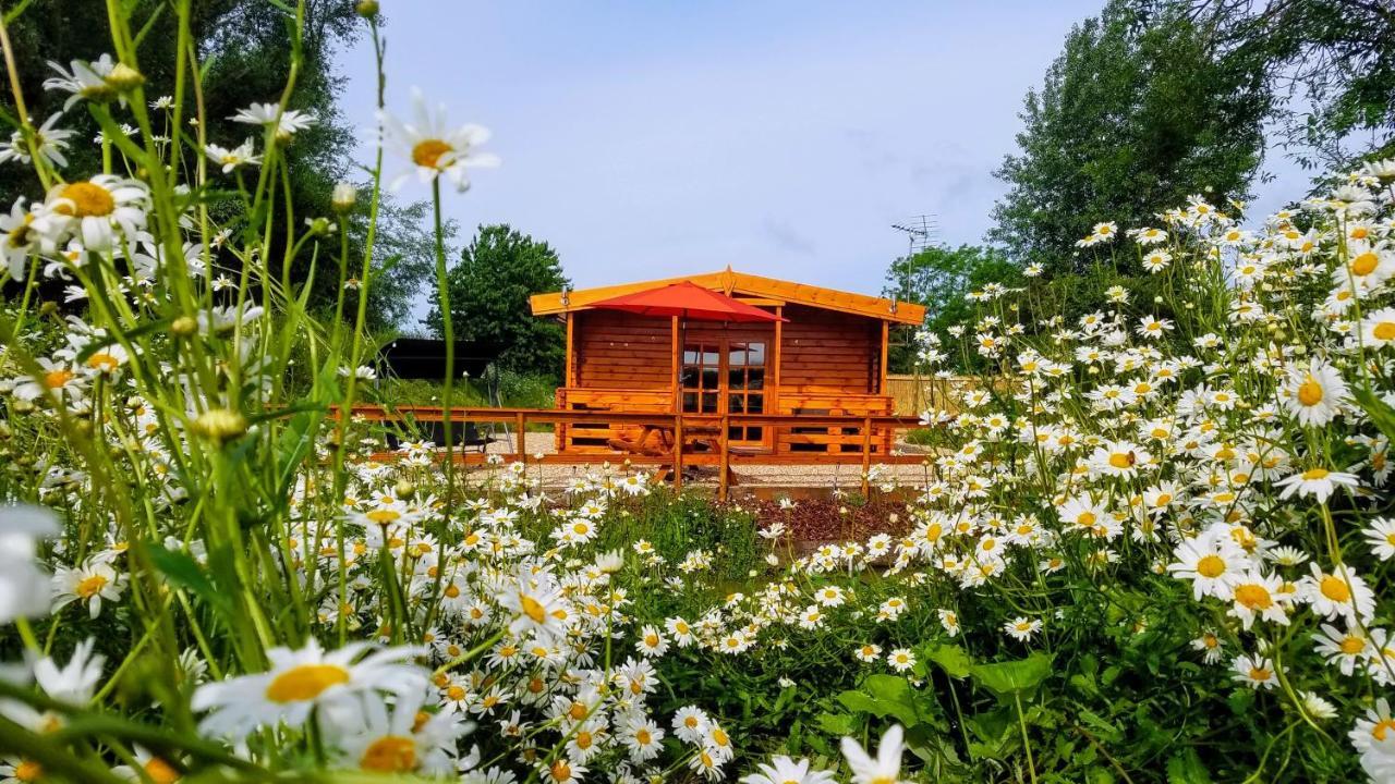 East Pool Cabin Лінкольн Екстер'єр фото